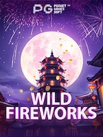 Wild Fireworks Terbaru untuk Pemula: Review dan Panduan banner